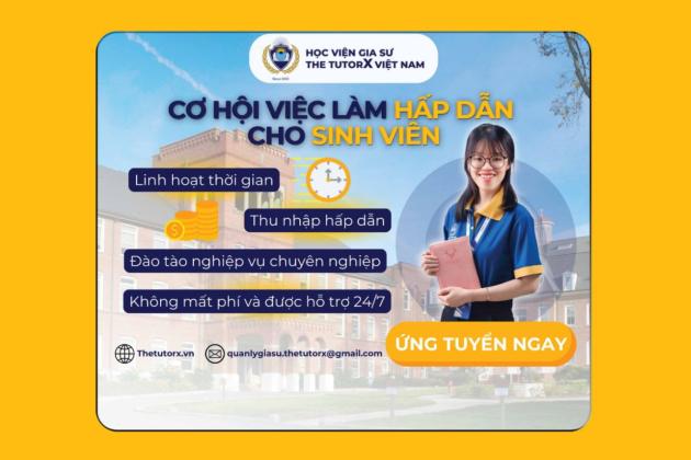 THE TUTORX TẠI JOB FAIR WEEK 2024: ĐIỂM NHẤN ĐẦY ẤN TƯỢNG!
